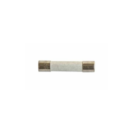 3601-000448 - ZEKERING 250V,10A 6,3X32MM VOOR MAGNETRON VAN SAMSUNG